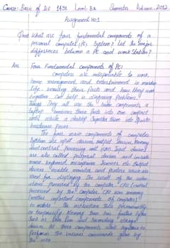 assignment handwriting work