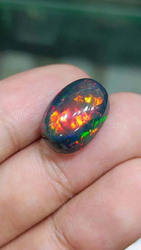 Galaxy Black Opal full fire multi color natural big size opal for sale 0