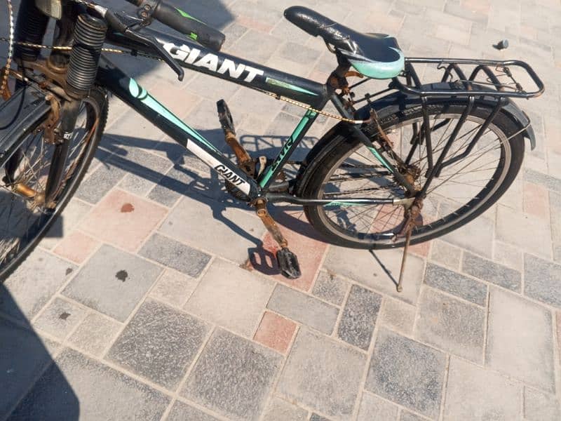 giant cycle for sale in Lahore 7