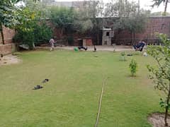 22 Marla Semi Commercial Plot Available For Sale In Johar Town Phase Lahore