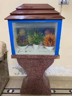 fish aquarium fine condition