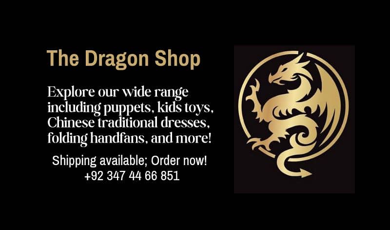 Dragon chopsticks -Wide range available - Imported chopsticks 3