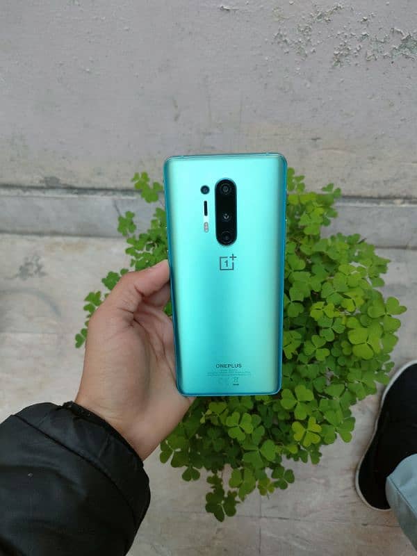 OnePlus 8 pro 12/256 Dual C P I D 10/10 lines and dot 0