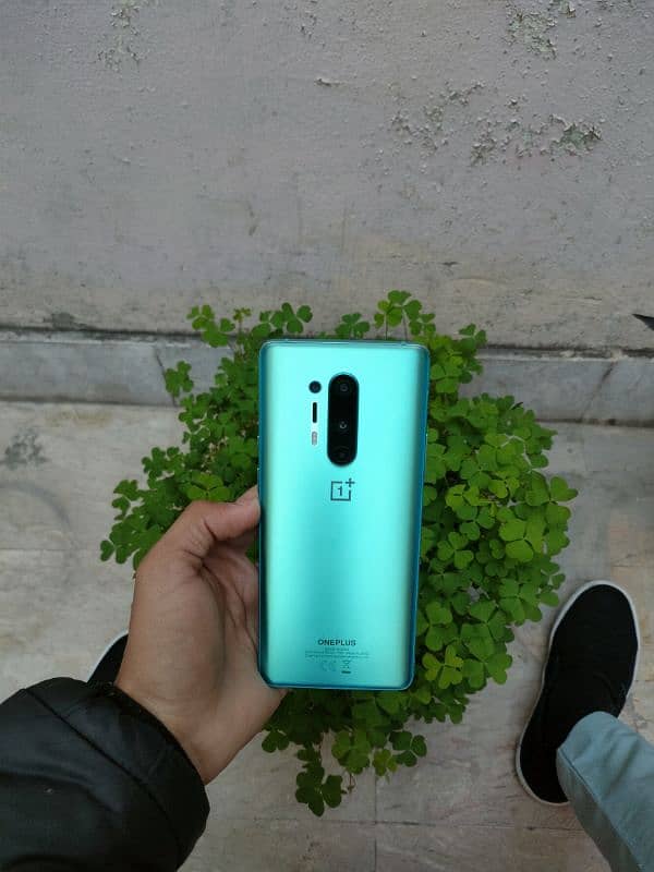 OnePlus 8 pro 12/256 Dual C P I D 10/10 lines and dot 1