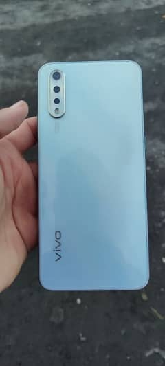 Vivo