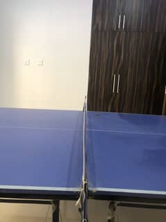 Table Tennis table