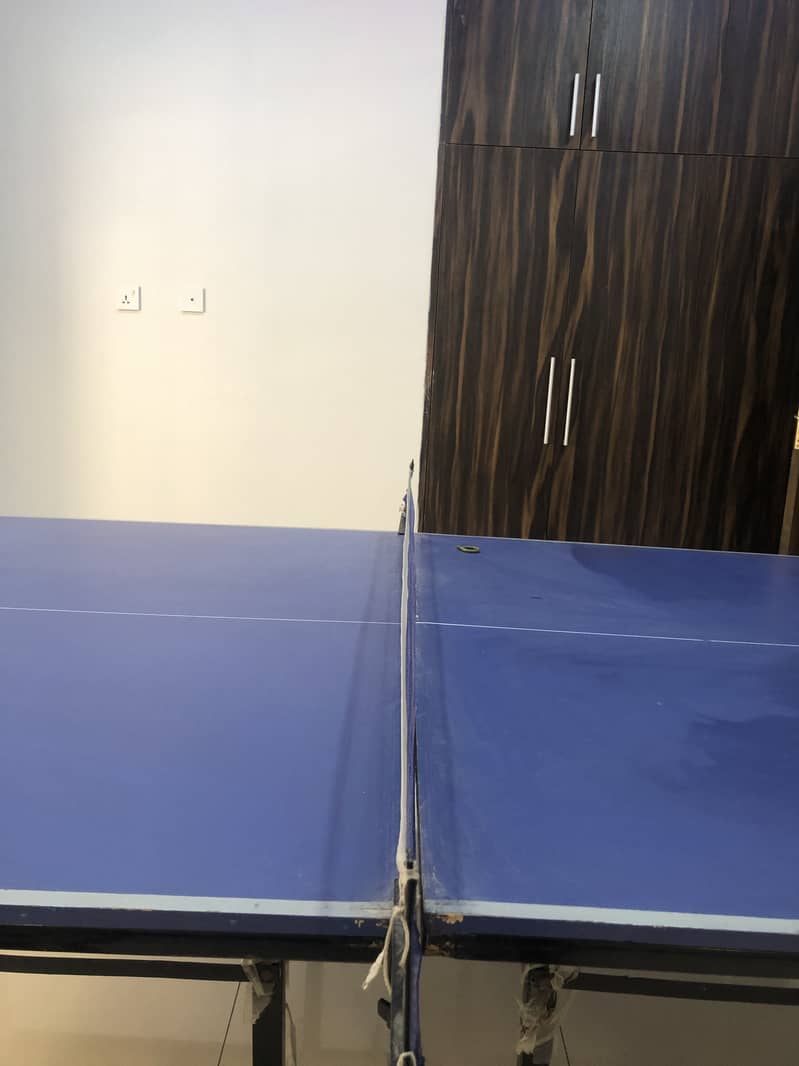 Table Tennis table 0