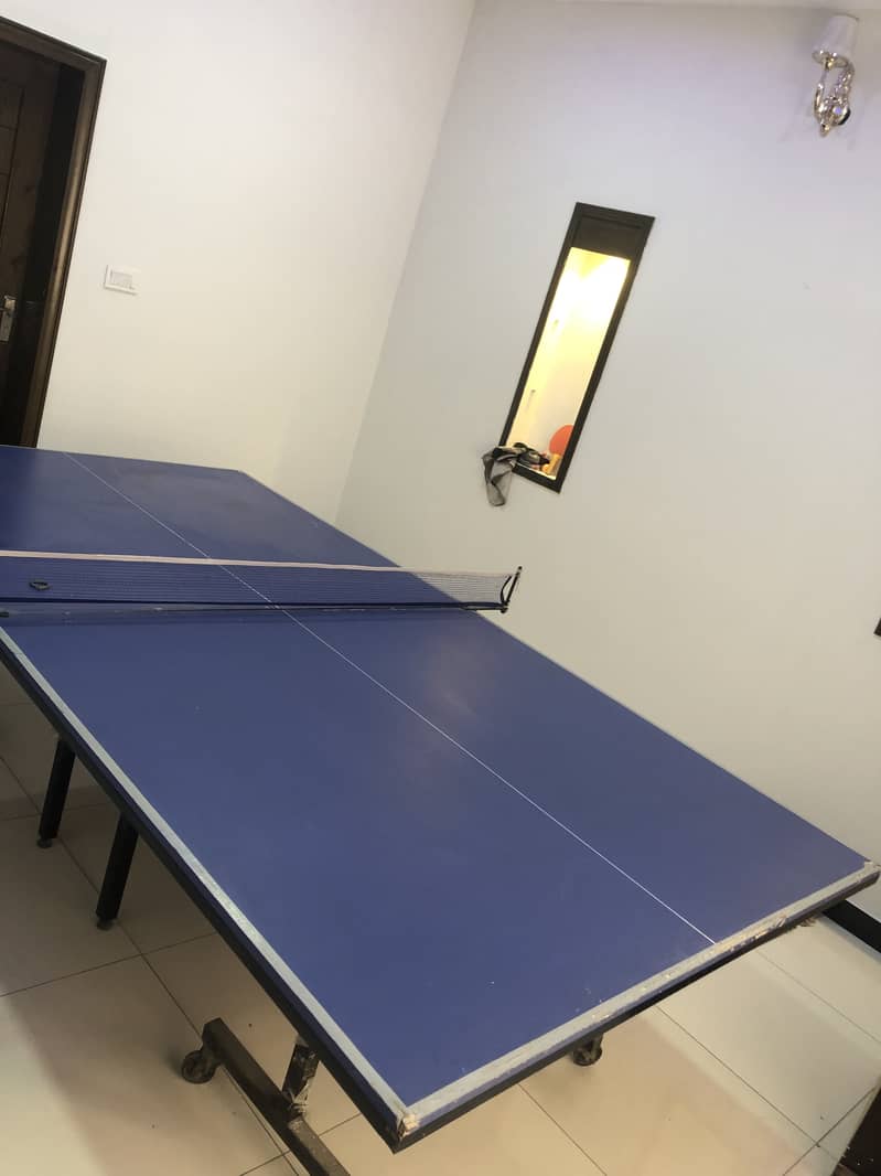 Table Tennis table 1