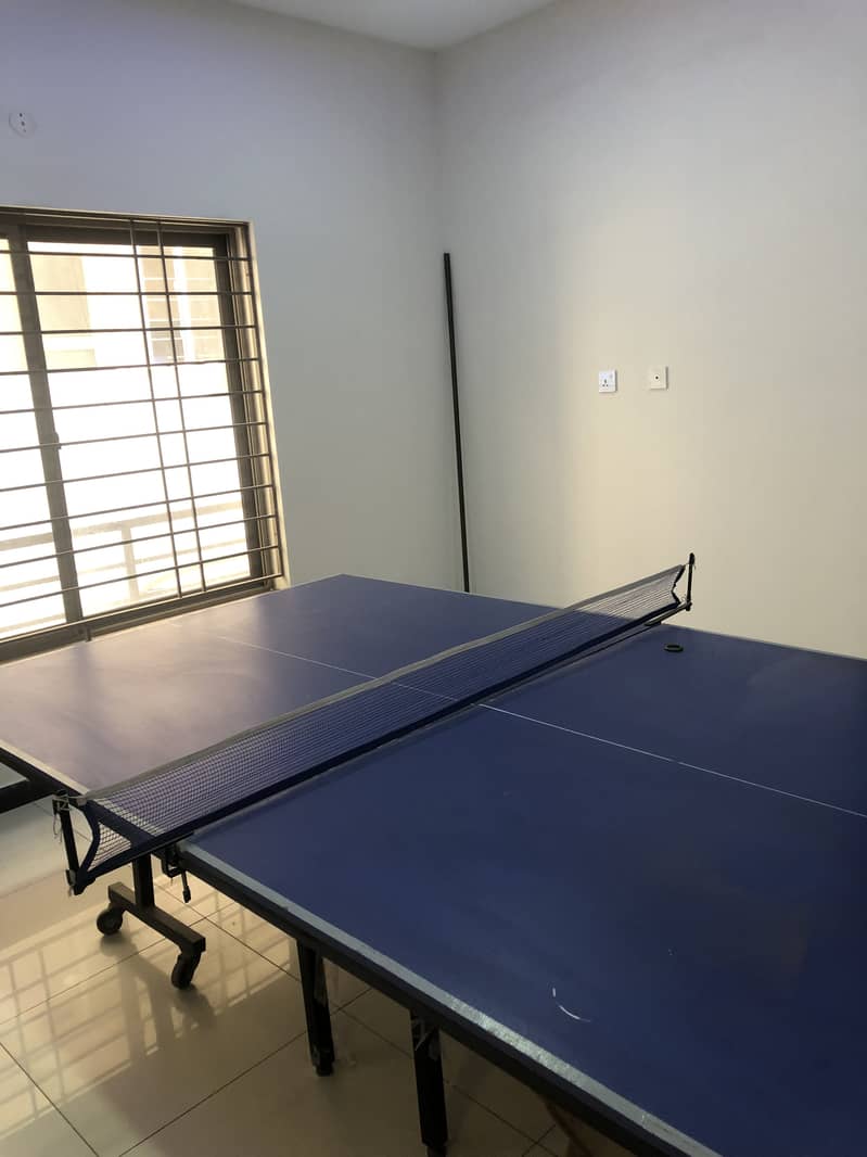 Table Tennis table 2