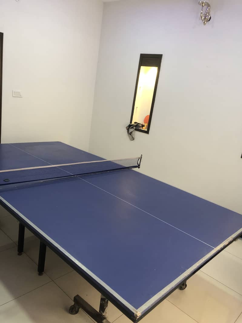 Table Tennis table 3