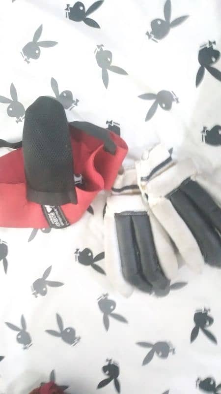 hardball profectional cricket kit with keeping gloves 2