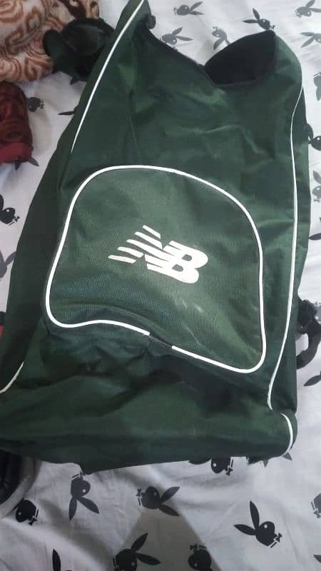 hardball profectional cricket kit with keeping gloves 3