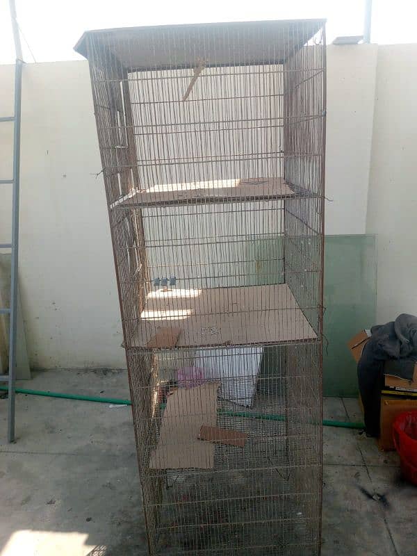 4 porion cage 4