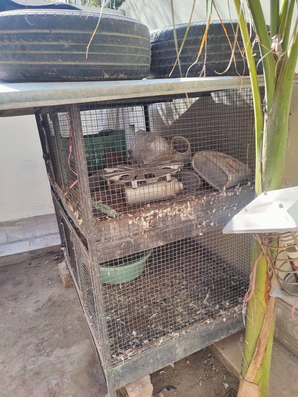 hen cage 0