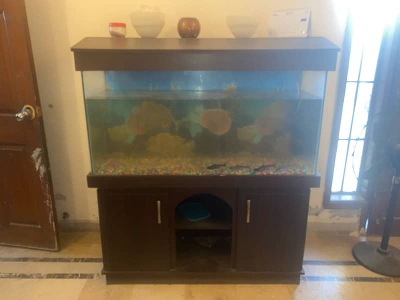 Aquarium for sale 1