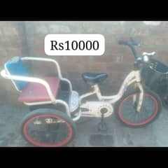 cycle ok 20"