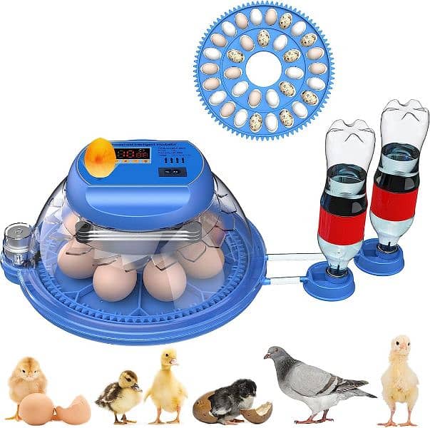 Intelligent 52/26/8 eggs automatic and dual power incubators 8