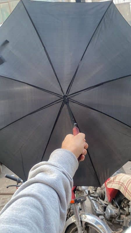 Umbrella 1