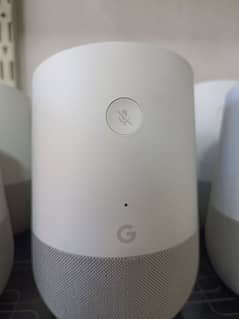 Google Home assistant