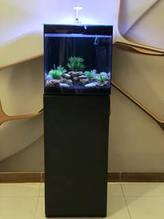 crystal clear mirror aquarium