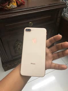 8plus pta 256gb