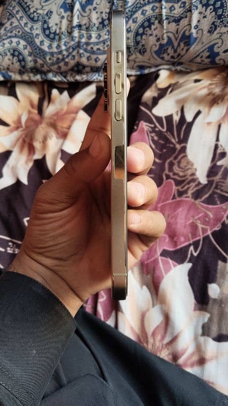 iPhone 14 Pro Max Jv / 10 by 10 Condition / Golden Color 2