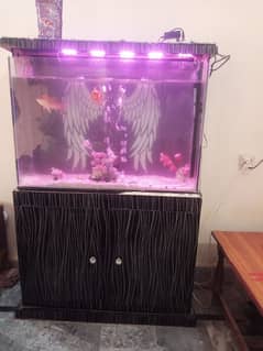 Fishe aquarium