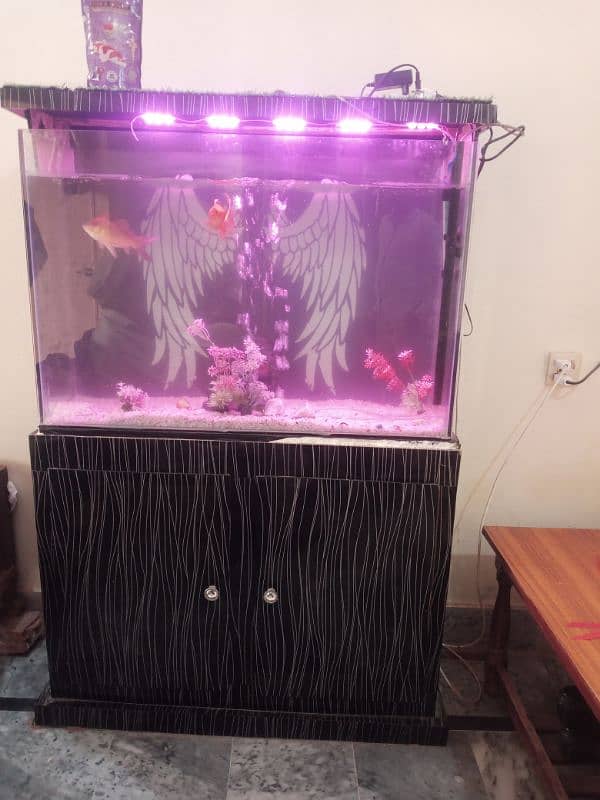 Fishe aquarium with Fishes 0