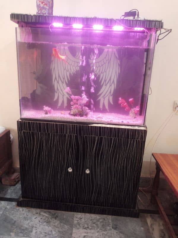 Fishe aquarium with Fishes 1