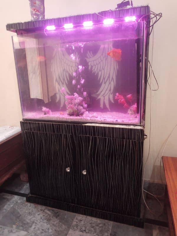 Fishe aquarium with Fishes 2