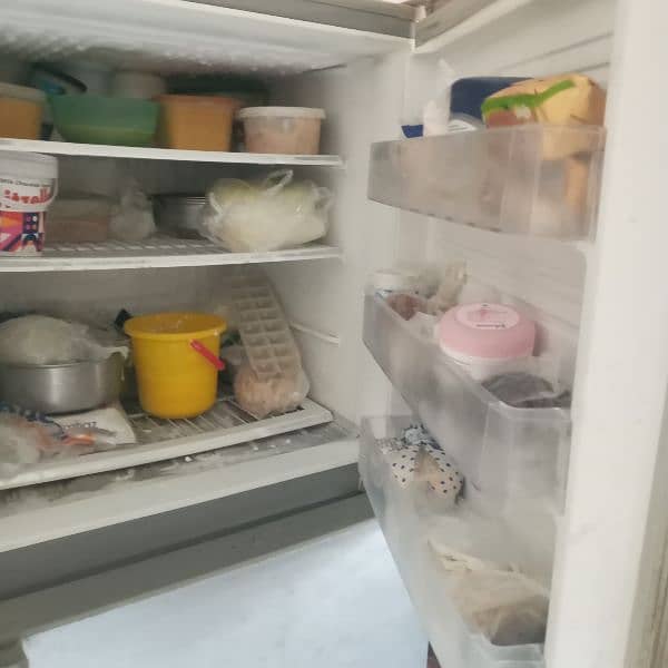 PEL REFRIGERATOR 0