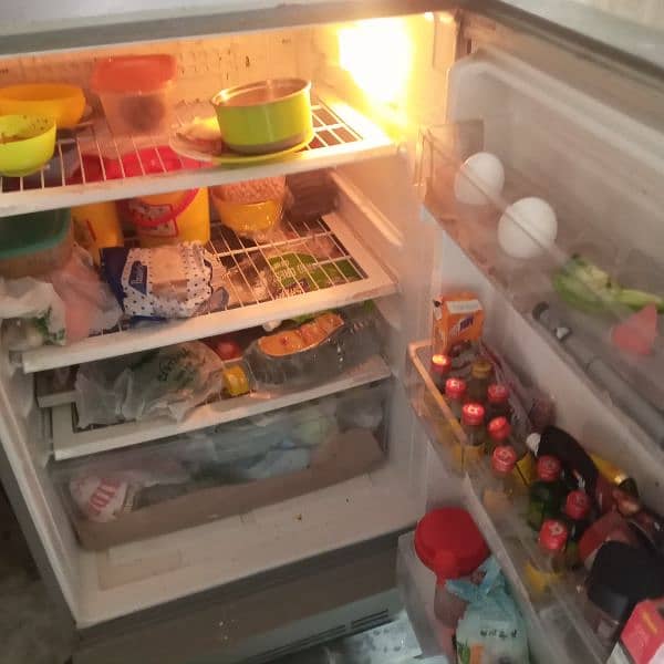 PEL REFRIGERATOR 1