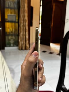 iphone 12 pro max pta approved