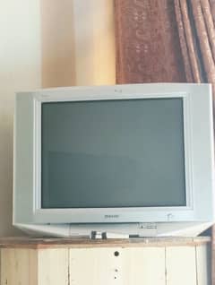 Sony T. V