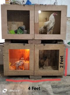 cages | wooden cage | 2 portions cage | birds cage | lovebirds