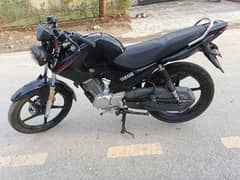 Yamaha ybr 125 for sale