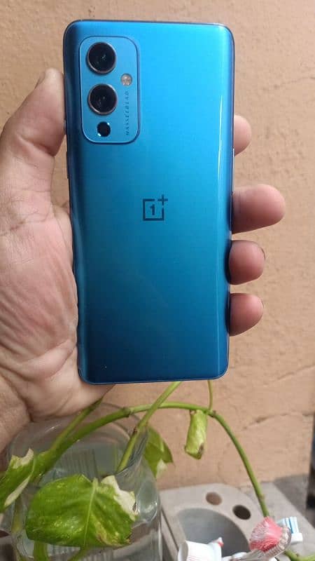 Oneplus 9 All ok Urgently Sell 1