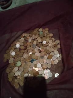 600 coin 1/2/5. cent . for sale