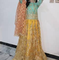 Designer Customised lehenga choli with dupatta