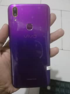 vivo