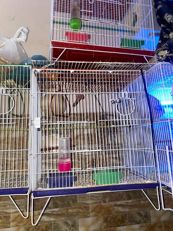 Cage for Sale 1800 4