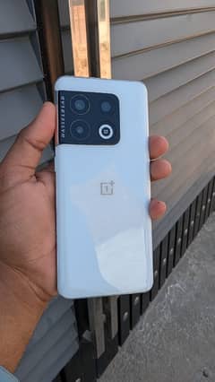 Oneplus 10 pro 10/10