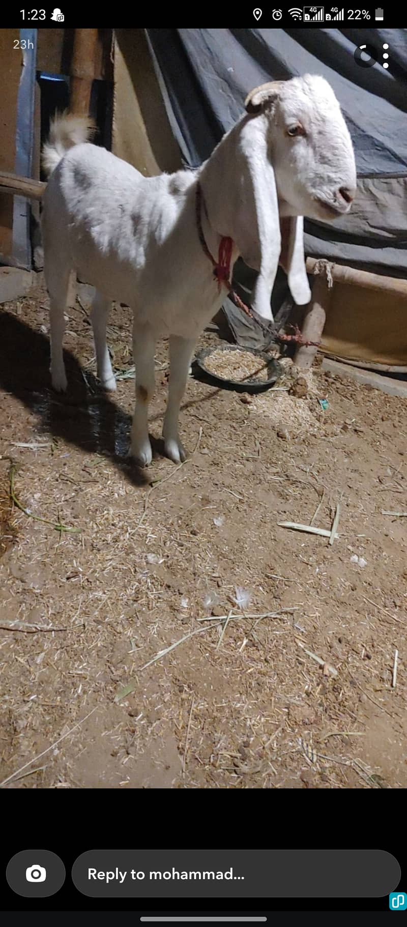 4dath path bakri 0