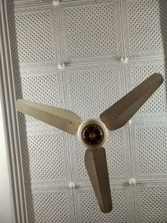 4 ceiling fan in mint condition