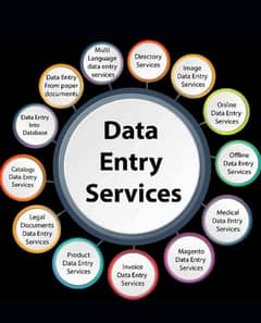 Data Entry Work