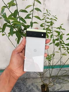 Google Pixel 6 Dual sim approved