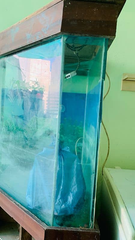 fish aquarium with table shelf 2