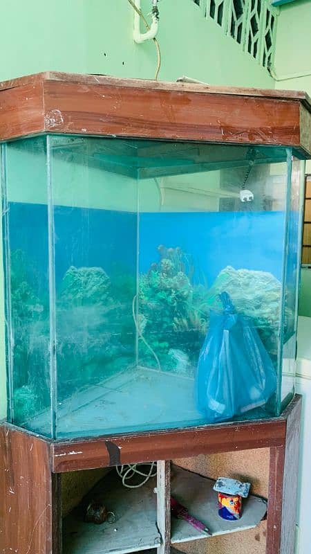 fish aquarium with table shelf 3