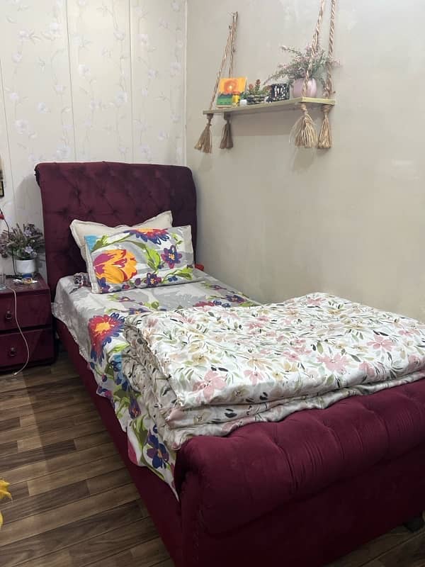 Single Bed pair with spring mattress 1