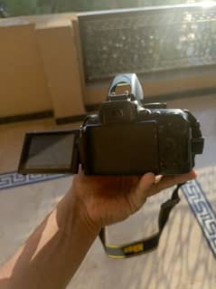 Nikon D5200 in clean condition